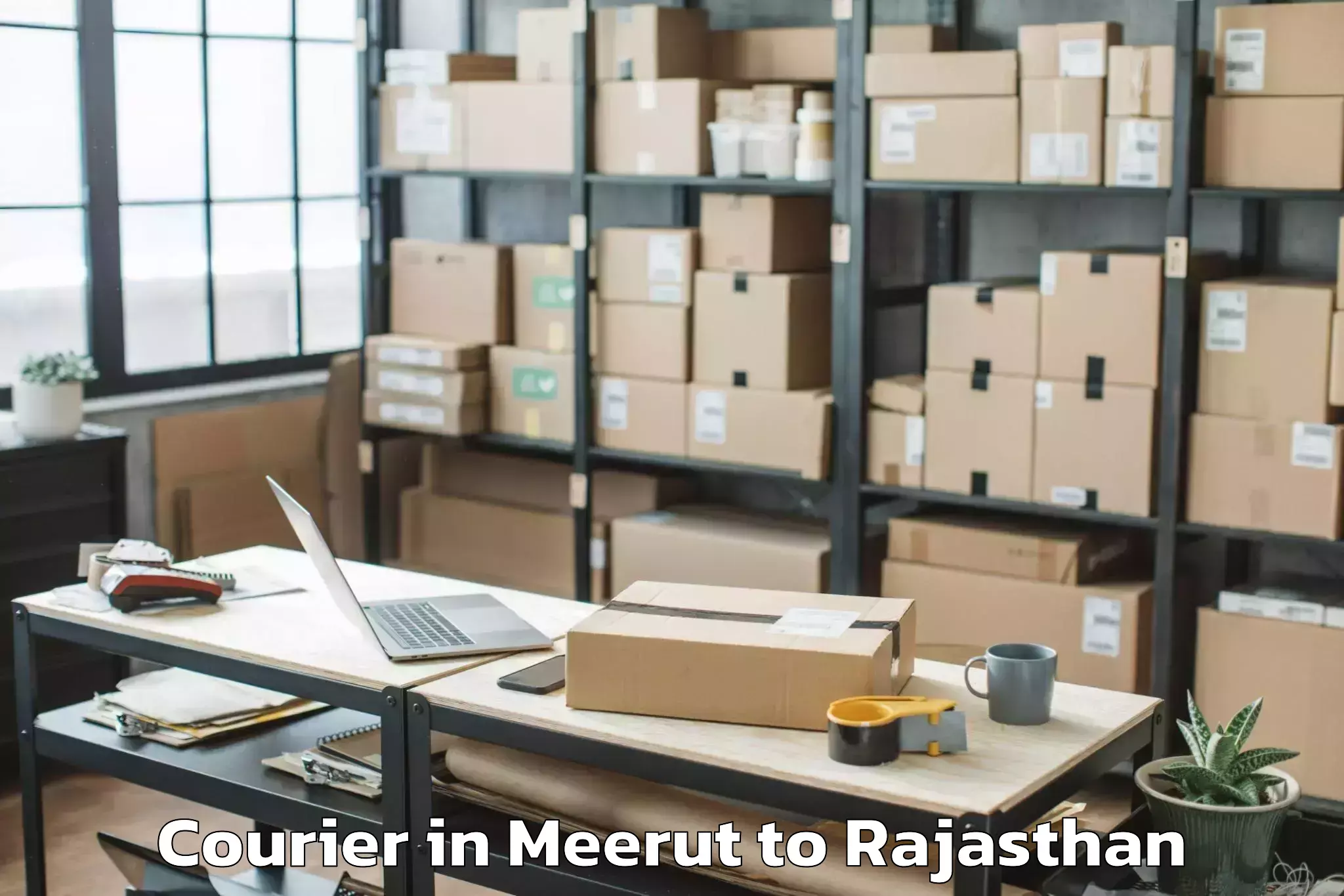 Efficient Meerut to Jobner Courier